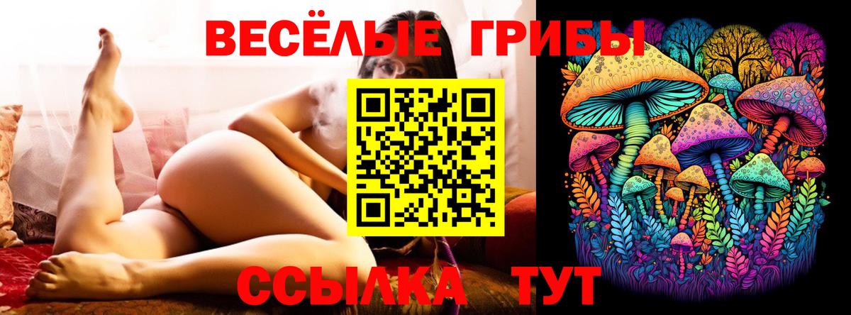 Будённовск  Псилоцибиновые грибы прущие грибы  Вход с VPN 