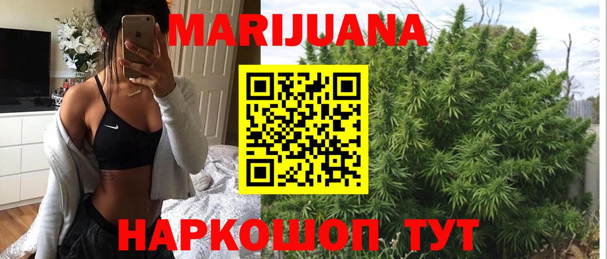 Шишки марихуана семена Будённовск
